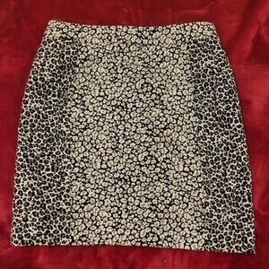 Ann Taylor Skirt